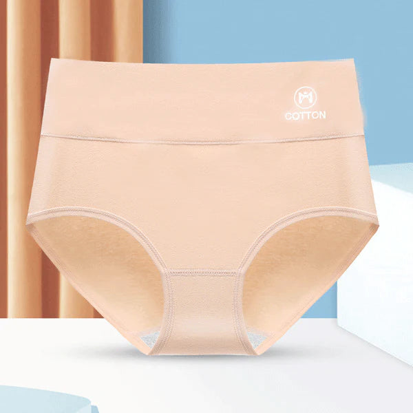 Stylish High Waist Brief Underwear Soft Summer Fabric Elastic Closure Mesh Pattern Underwear - Skin - Shop N Save