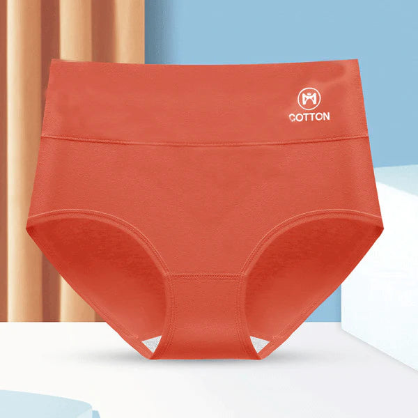 Stylish High Waist Brief Underwear Soft Summer Fabric Elastic Closure Mesh Pattern Underwear - Orange Red - Shop N Save