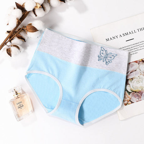 Sky Blue Butterfly Mesh Hipster Underwear Comfortable Cotton Blends Normal Fitting Elastic Waist. Perfect for Everyday Casual Wear. - Shop N Save