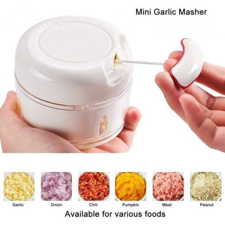 Manual Chilly Nuts Meat Garlic Onion Ginger Chopper - White