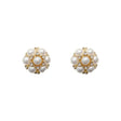 Floral Patched Crystal Decorative Ear Tops - Shop N Save