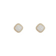 Crystal Decorative Hooked Closure Ear Tops - Shop N Save