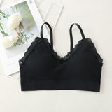 Korean Style Lace Beauty Chest Padded Bra - Black - Shop N Save