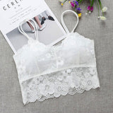 Cross-border supply lace beauty back women Bra - White - Shop N Save