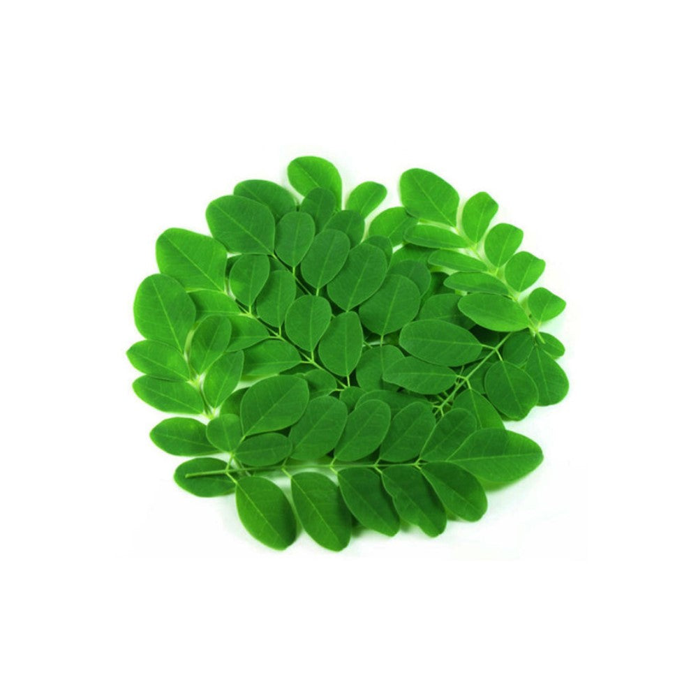 Drumstick Leaves