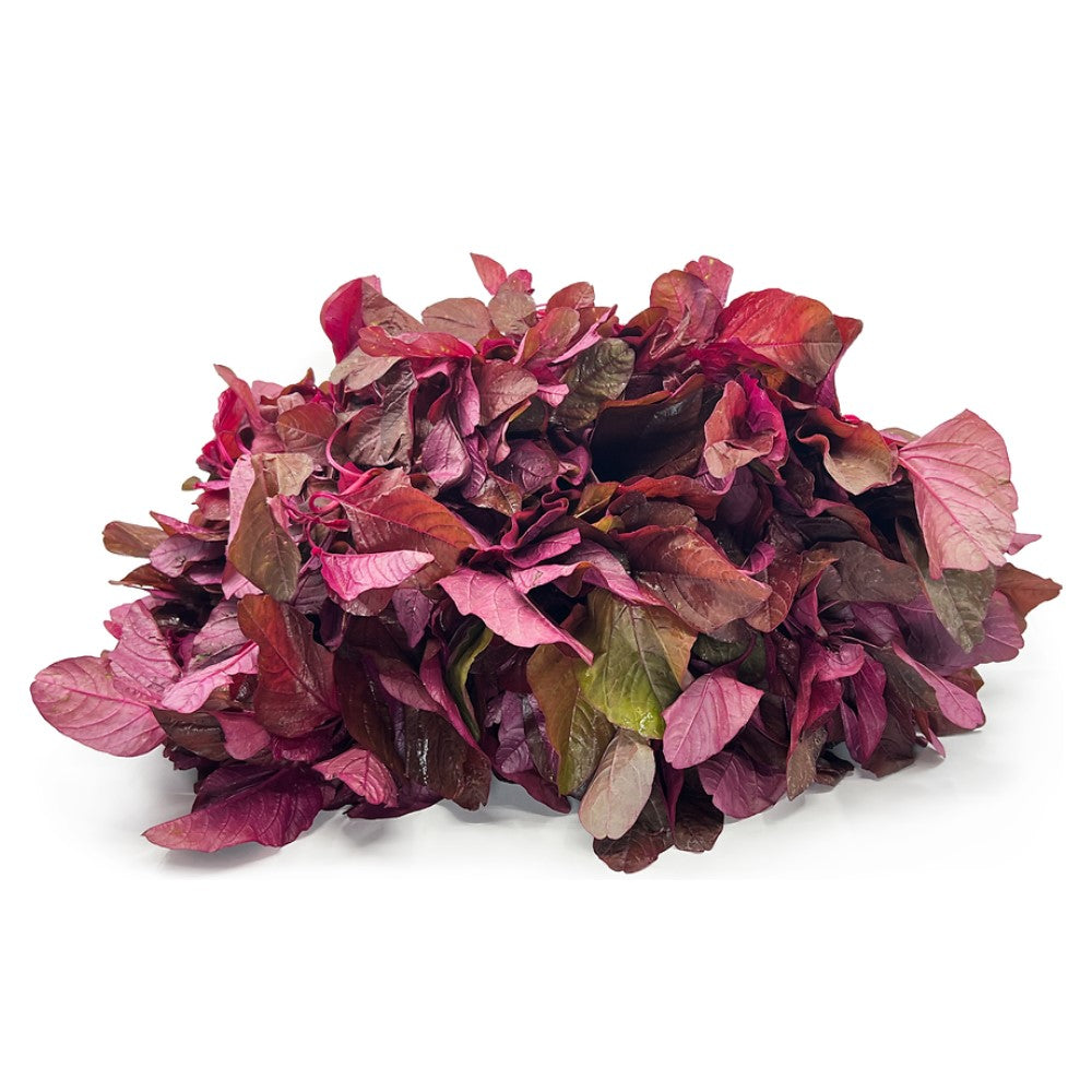 Amaranth Red