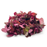 Amaranth Red