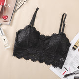 Women Push Up Wireless Lace Bra Top - Black - Shop N Save
