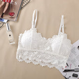 Women Push Up Wireless Lace Bra Top - White - Shop N Save
