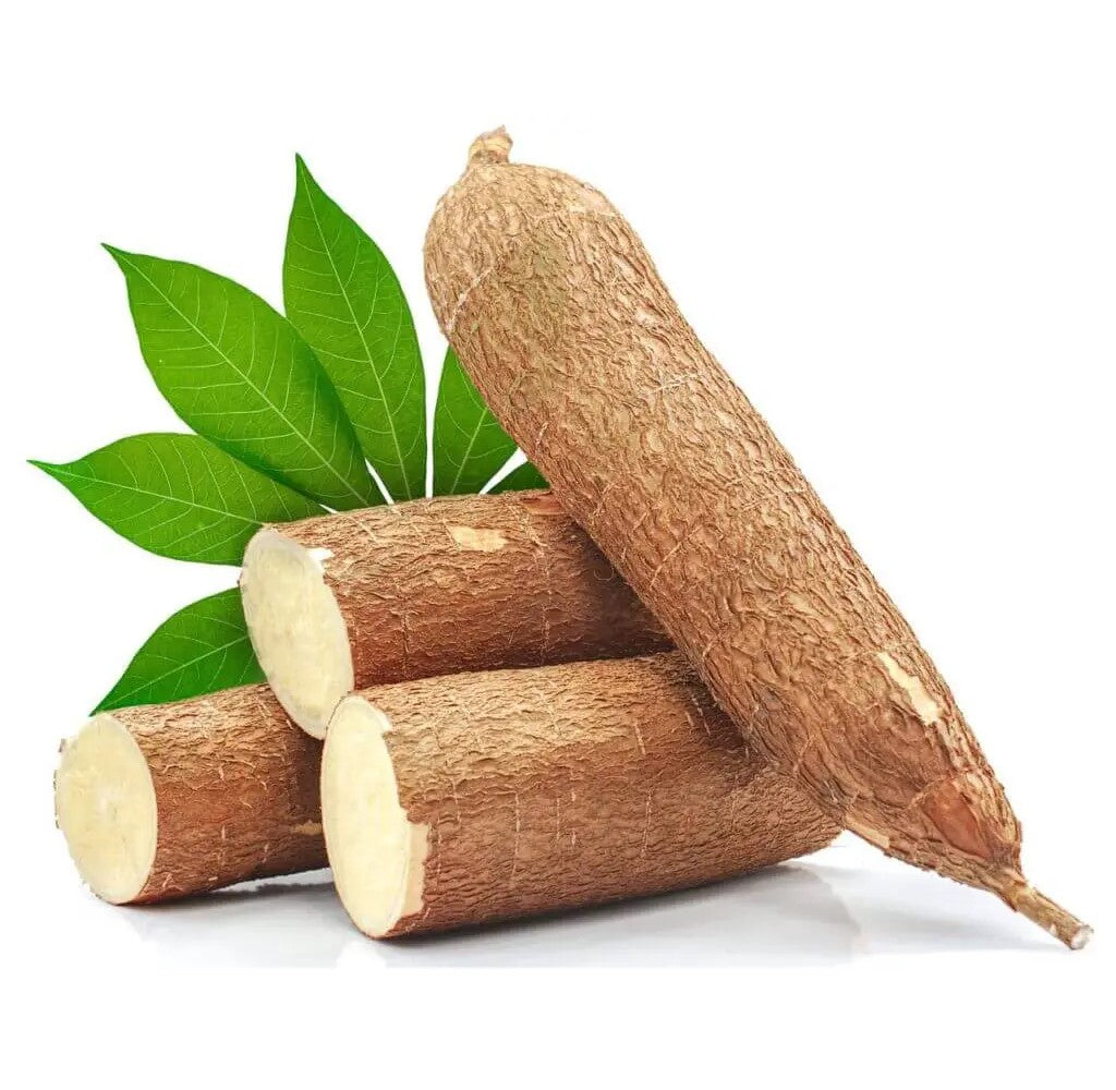 Fresh Cassava