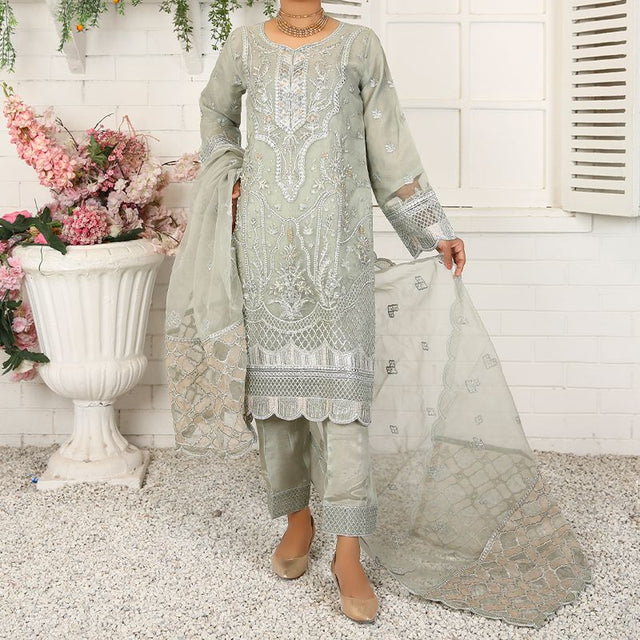 3 Piece Fancy Embroidery Dress - Stylish Light Weight Chiffon Organza Fabric Suit Indian Pakistani Fancy Embroidered Dress For Events Party Outdoor Dress - Light Green - Shop N Save