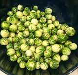 Bitter Berries