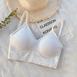 Sports Bra For Women Soft Padded - White - Shop N Save