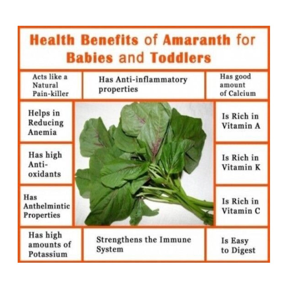 Amaranth Greens