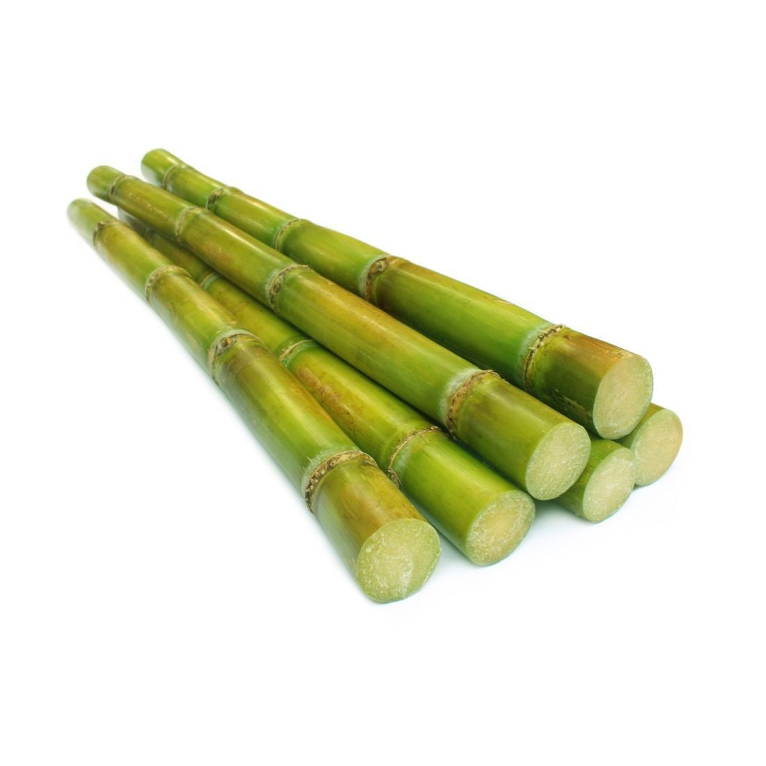 Sugar Cane