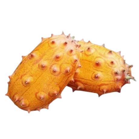 Horned Melon