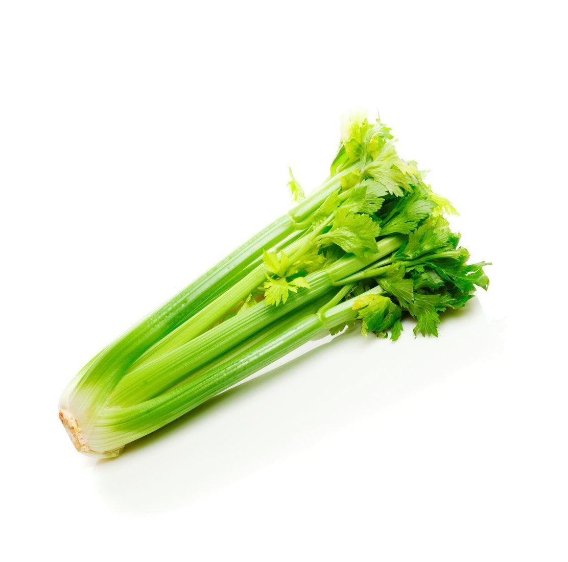 Celery