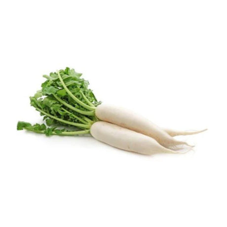 Radish