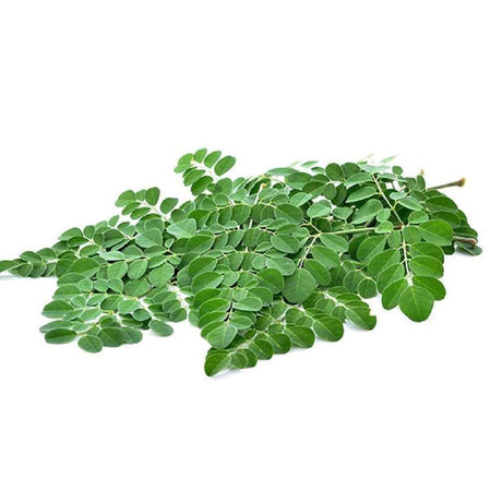 Drumstick Leaves