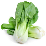 Pak Choi