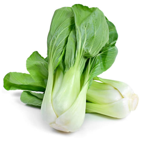 Pak Choi