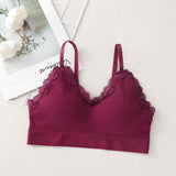 Korean Style Lace Beauty Chest Padded Bra - Wine Red - Shop N Save