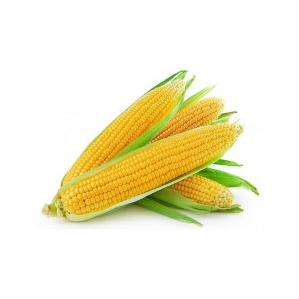 Sweet corn