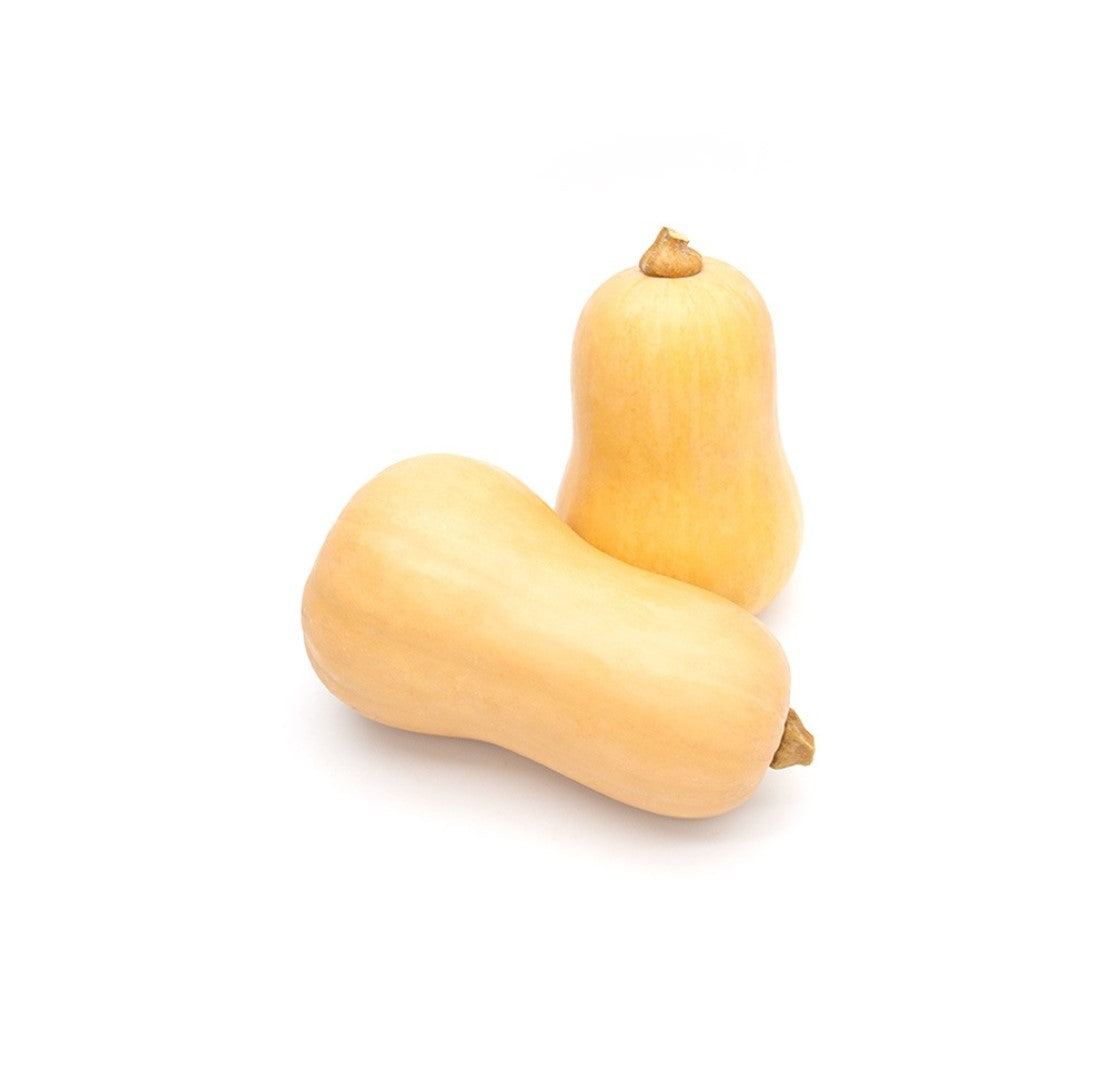 Butternut