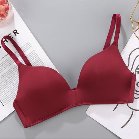 European Style Seamless Soft Women Bra - Purple - Shop N Save