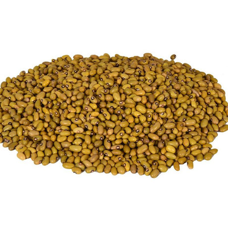 Yellow Beans: Crisp, Nutrient-Rich, Versatile Culinary Brilliance - Shop N Save