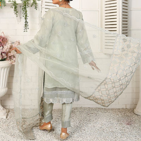 3 Piece Fancy Embroidery Dress - Stylish Light Weight Chiffon Organza Fabric Suit Indian Pakistani Fancy Embroidered Dress For Events Party Outdoor Dress - Light Green - Shop N Save