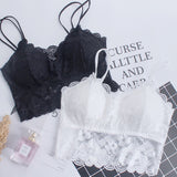 Cross-border supply lace beauty back women Bra - White - Shop N Save