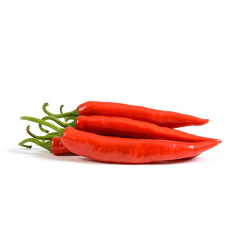 Hot Pepper