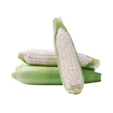 White Maize Fresh