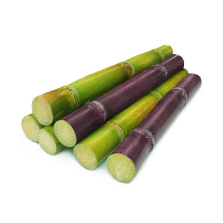 Sugar Cane