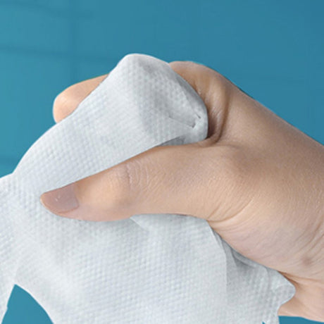 New Born Portable Wet Wipes Baby Hand And Mouth Wet Wipes Bag With Cover
