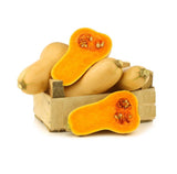 Butternut