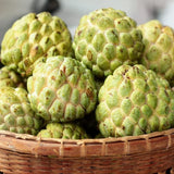 Custard Apple