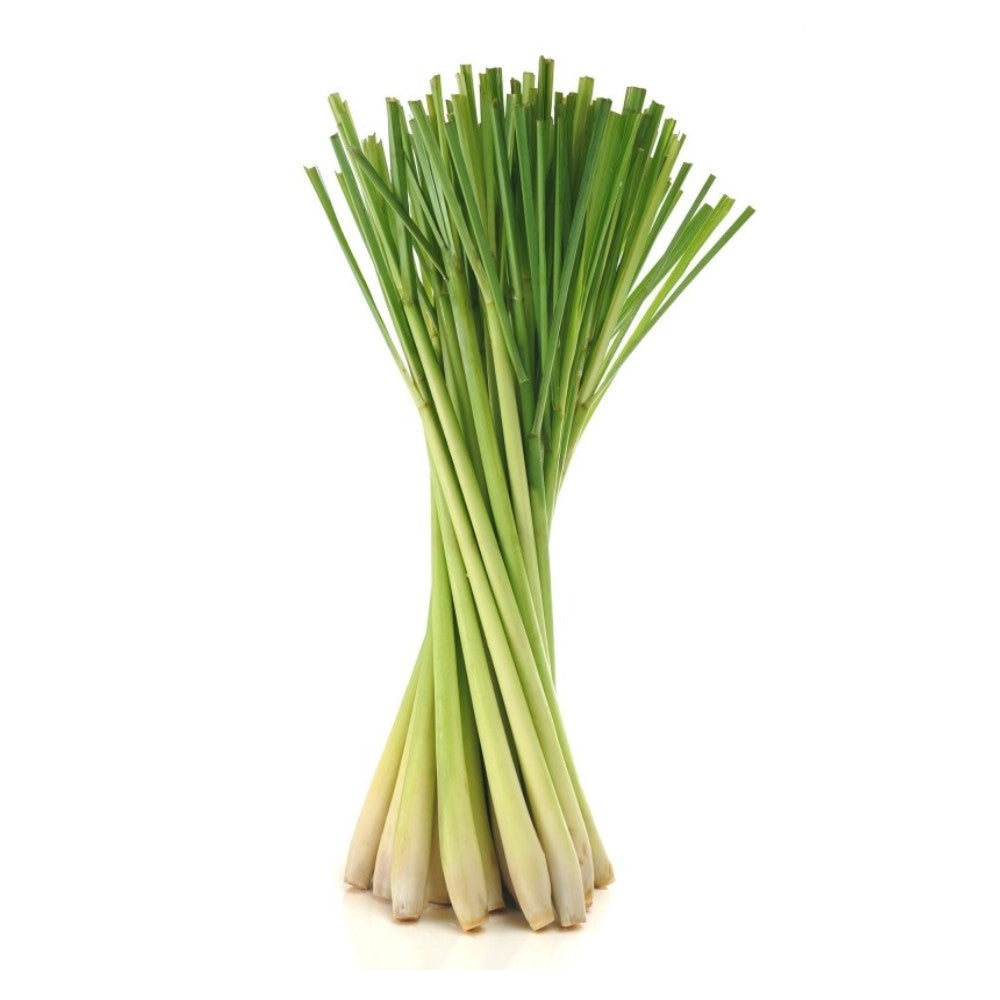 Lemon Grass