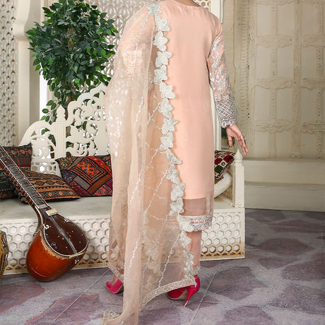 3 Piece Fancy Embroidery Dress - Stylish Light Weight Chiffon Organza Fabric Suit Indian Pakistani Fancy Embroidered Dress For Events Party Outdoor Dress - Light Pink - Shop N Save