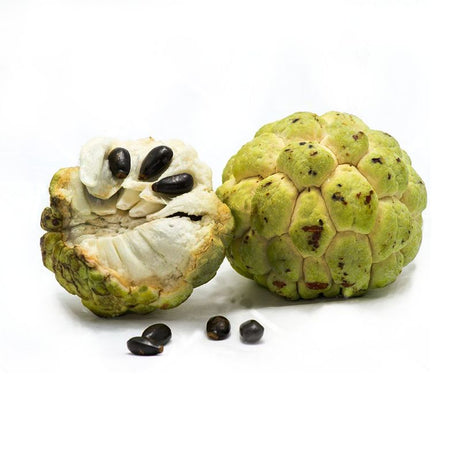 Custard Apple: Sweet Creaminess, Nutrient-Rich, Tropical Delight - Shop N Save