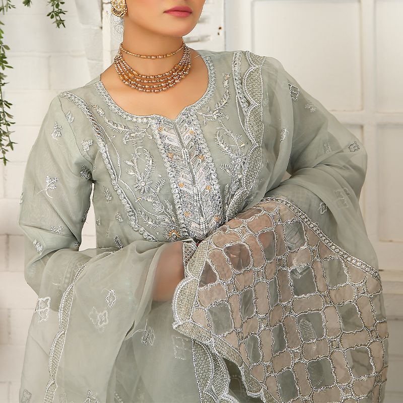 3 Piece Fancy Embroidery Dress - Stylish Light Weight Chiffon Organza Fabric Suit Indian Pakistani Fancy Embroidered Dress For Events Party Outdoor Dress - Light Green - Shop N Save