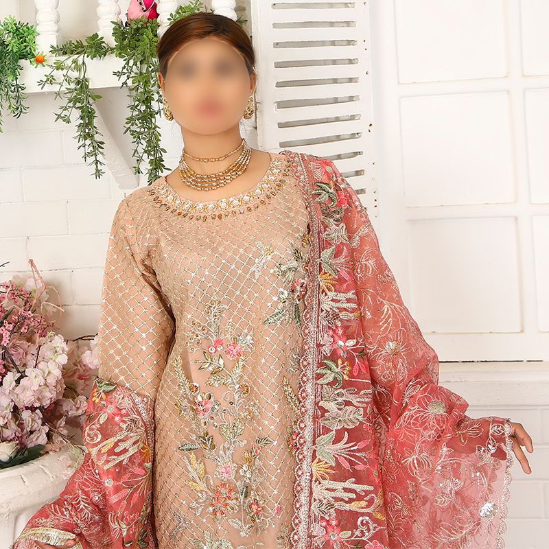 3 Piece Fancy Embroidery Dress - Stylish Light Weight Chiffon Organza Fabric Suit Indian Pakistani Fancy Embroidered Dress For Events Party Outdoor Dress - Light Pink - Shop N Save