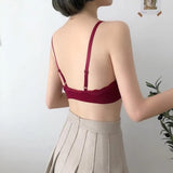 Korean Style Lace Beauty Chest Padded Bra - Black - Shop N Save