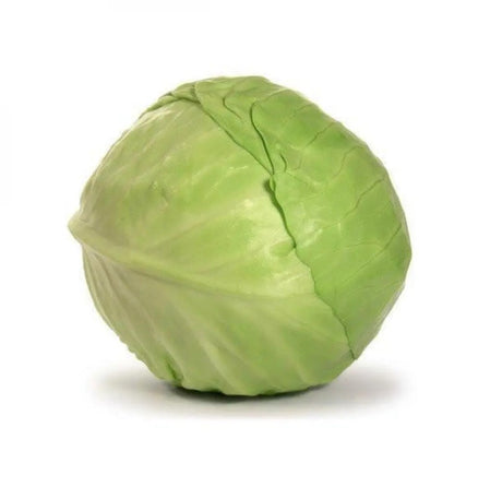 Cabbage