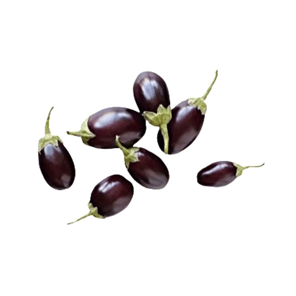 Small Brinjal