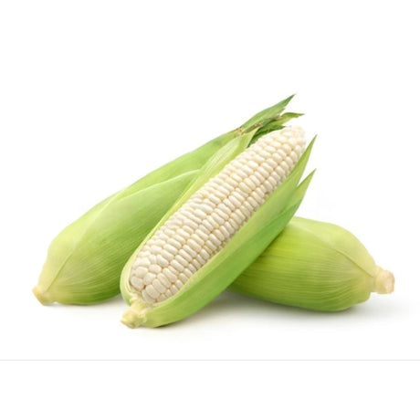 White Maize Fresh