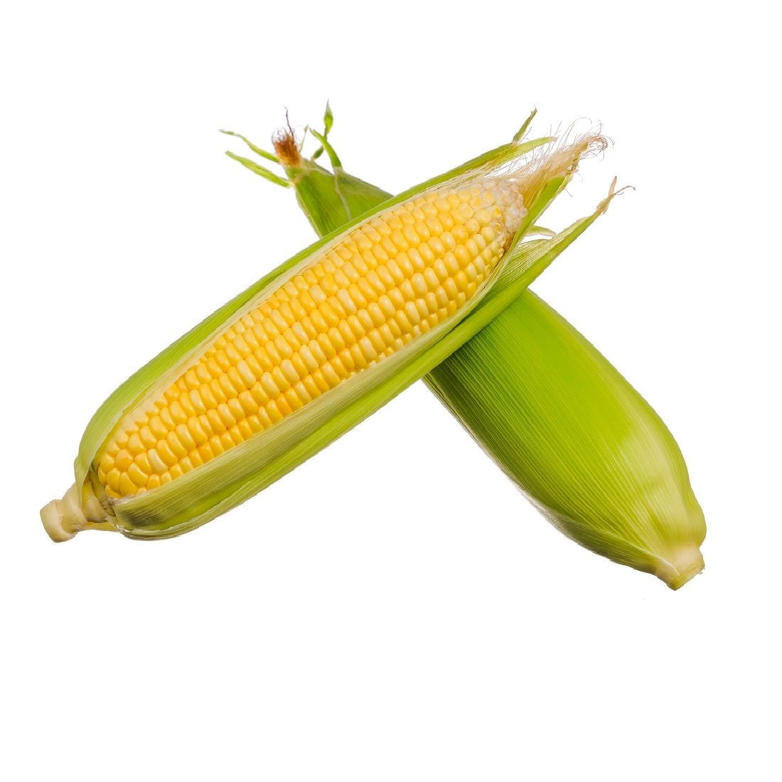 Sweet corn