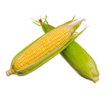 Sweet corn