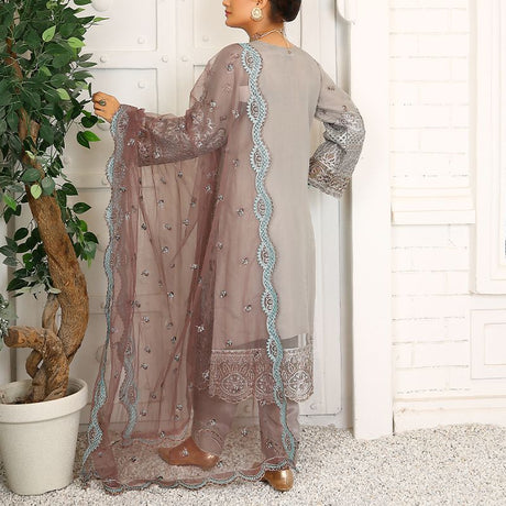 3 Piece Fancy Embroidery Dress - Stylish Light Weight Chiffon Organza Fabric Suit Indian Pakistani Fancy Embroidered Dress For Events Party Outdoor Dress - Gray - Shop N Save